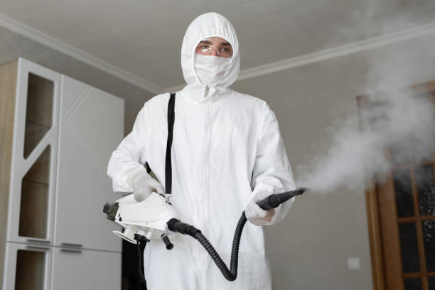 Professional Mold Inspection in Rancho Santa Margarita, CA